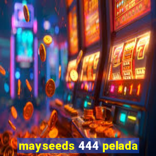 mayseeds 444 pelada